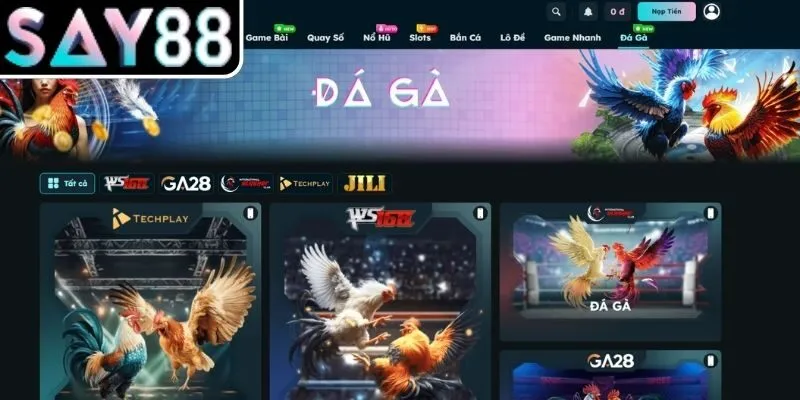 Khám phá sảnh Đá Gà SAY88